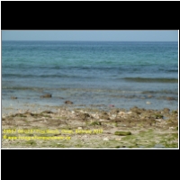 29537 04 0237 Fins Beach, Oman, Emirate 2017.jpg